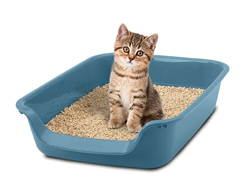Guía para elegir el arenero perfecto para tu gato